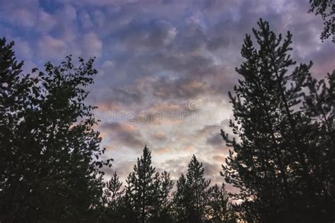 El Cielo Al Atardecer Nubes De Cumulus Iluminadas Por Los Rayos Del