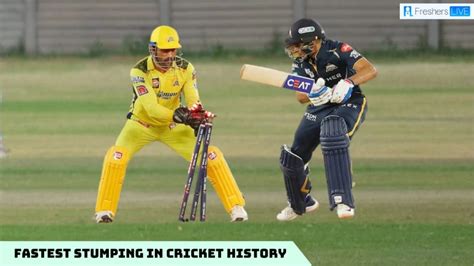 Fastest Stumping In Cricket History Top 10 Quickest Ever Hello