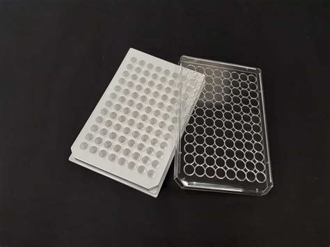 Poly L Lysine Coated 96 Well Plates Biomat Tissue Culture Plates