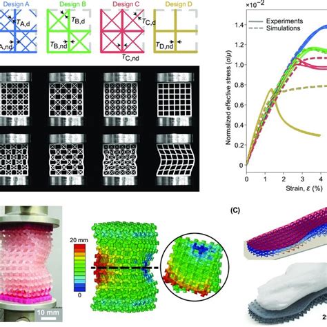 A Mechanical Deformations Of A Sea Sponge Inspired Skeletal Lattice