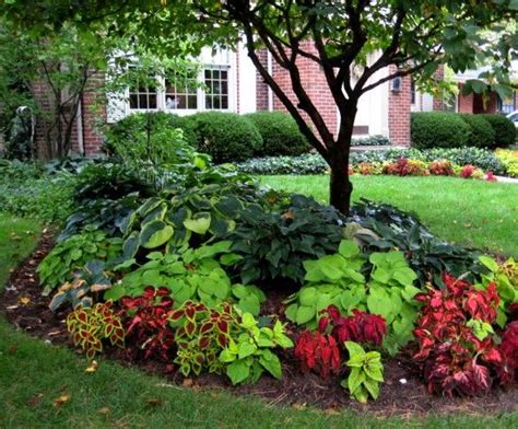 80 best berm ideas images on Pinterest | Home ideas, Dreams and Gardening