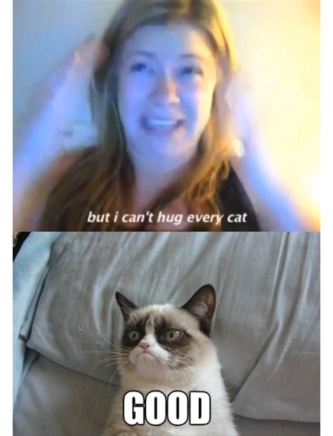 Good Funny Grumpy Cat Memes Grumpy Cat Good Grumpy Cat