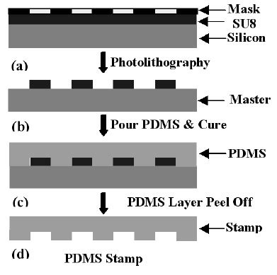 Process Flow For Making A Pdms Stamp From A Silicon Master Or A Master