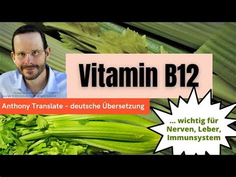 Vitamin B F R Nerven Immunsystem Und Leber Anthony William