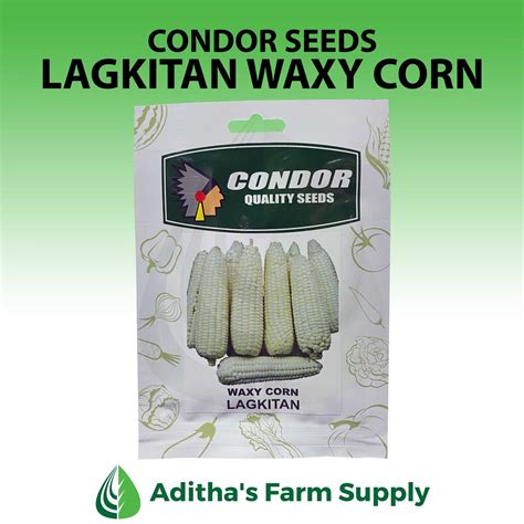 Condor Seeds Lagkitan Waxy Corn Shopee Philippines