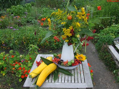 Foto S Bloemen Op De Volkstuin Volkstuinvereniging Voor Nut En