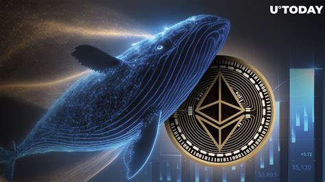 Ethereum Eth Whales Enter Aggressive Accumulation Signal For Bulls