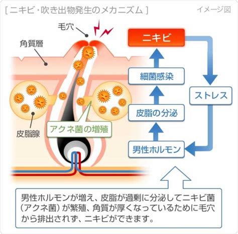 当院で扱う皮膚疾患・肌トラブルについて｜女医の巣鴨千石皮ふ科