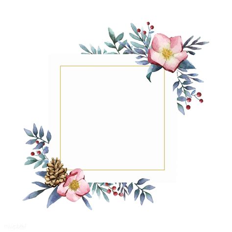 hellebore flower frame painted  watercolor vector  image