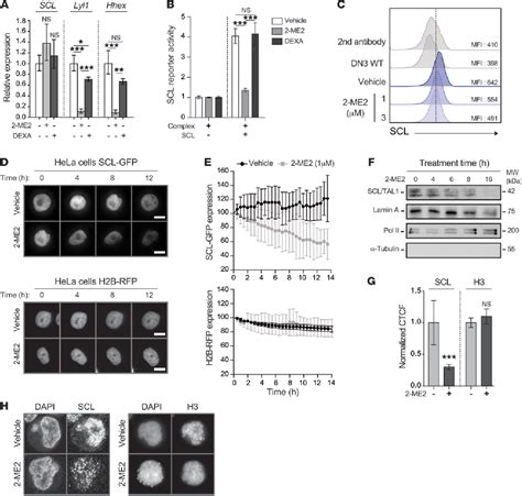 Figure 4 From High Throughput Screening In Niche Based Assay Identifies