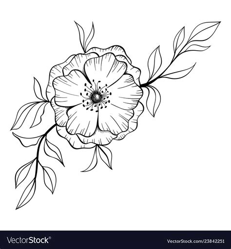 Hand Drawn Floral Doodle Background Royalty Free Vector