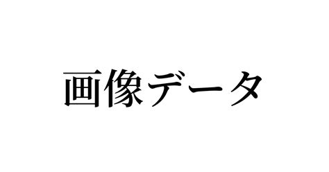 例文・使い方一覧でみる「画像データ」の意味