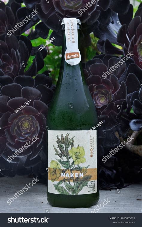 Naken 이미지, 스톡 사진 및 벡터 | Shutterstock