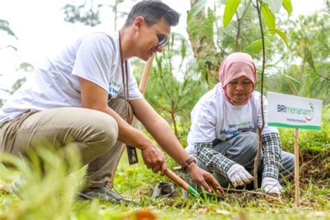 Komitmen Bri Pada Lingkungan Dan Sosial Tunjukan Hasil