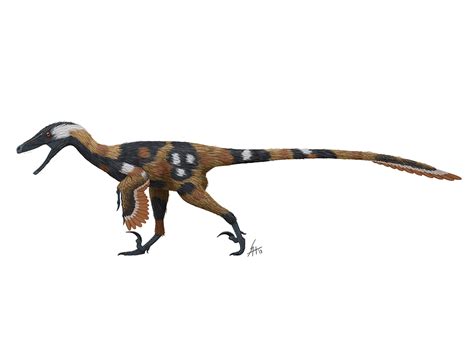 Raptor Dinosaur Drawing Free Download On Clipartmag