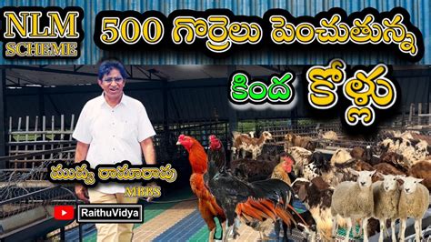 గరరల పపక నట కళల పపక NLM Scheme sheep agriculture