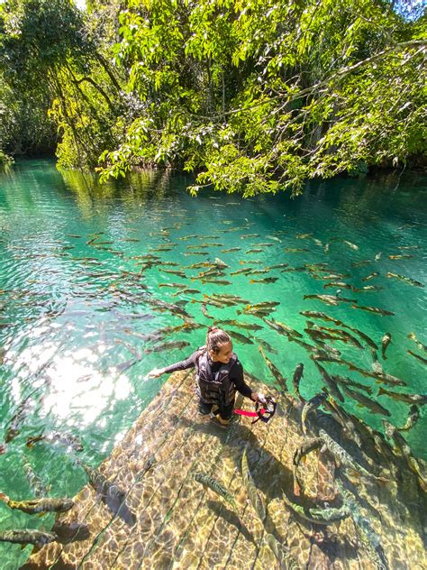 10 motivos para visitar Bonito na Baixa temporada Águas Turismo