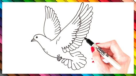 How To Draw A Dove Step By Step EASY Dove Drawing Tutorial YouTube