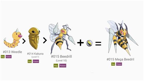 National Pok Dex Number Weedle Kakuna Beedrill Youtube