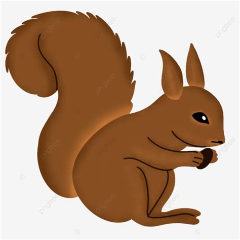 Ilustración De Ardilla PNG Ardilla Otoño Animal PNG y PSD para