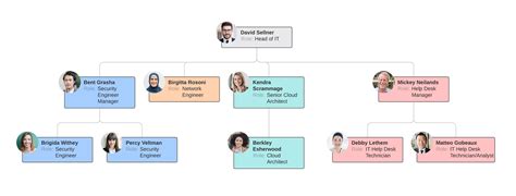 Functional Chart Vs Organizational Chart - Organization Charts Types ...