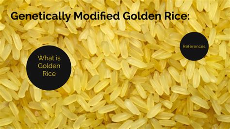 Golden Rice By Marinee Humphries On Prezi