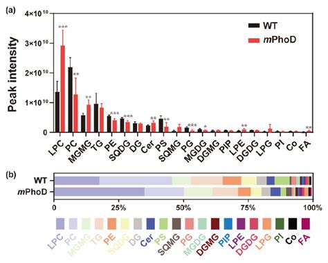 Figure 2 From Alkaline Phosphatase PhoD Mutation Induces Fatty Acid And