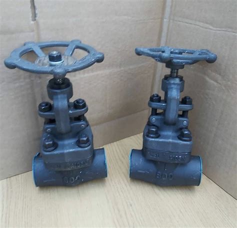 Ksb Forged Steel Gate Valve Model Name Number Sicca 800 4500 Glf