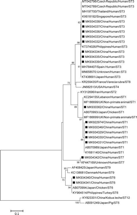 Phylogenetic Tree Of Blastocystis Hominis Based On The Barcode Region