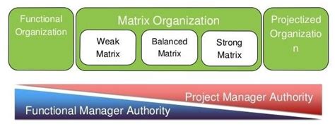 Matrix Org Chart All The Basics Youd Like To Know With Examples