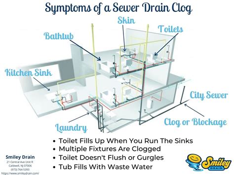 Smiley Drain Cleaning, Rooter, Sewer, Hydro Jetting & More