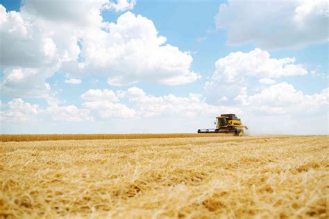 Agricultural Projects – Zafir Yapi