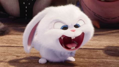 Pin By Yuuki On Snowball Secret Life Of Pets Pets Pets Movie