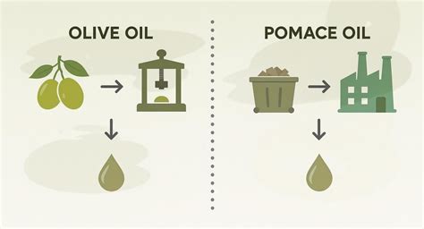 pomace oil  olive oil  uncomfortable truth learn olive oil