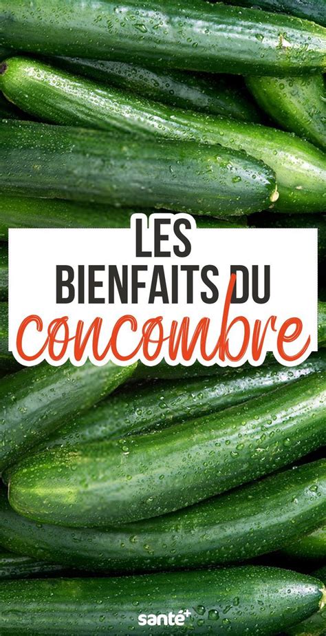 Conseils Nutrition Et Recettes Pour Une Bonne Alimentation Concombre