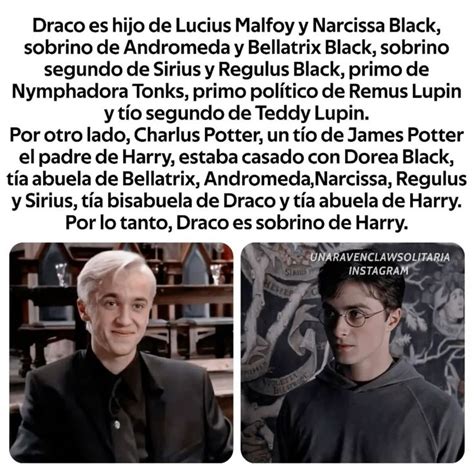 Pin De Noah En Draco En 2024 Libros De Harry Potter Harry Potter