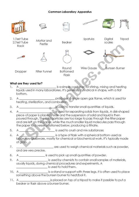 Common Laboratory Equipment ESL Worksheet By Crispitaranto