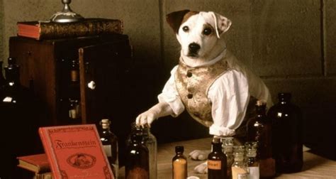 Wishbone The 90s Tv Show That Taught Kids The Classics