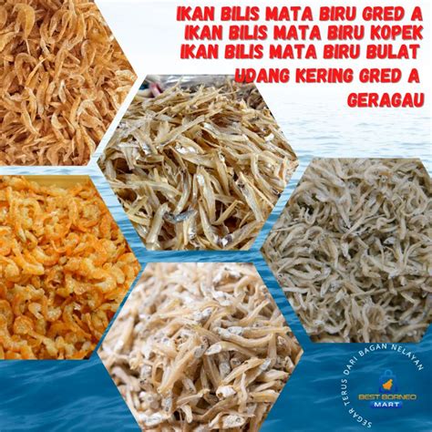 Kg Ikan Bilis Mata Biru A Kopek Belum Kopek Udang Kering Aaa