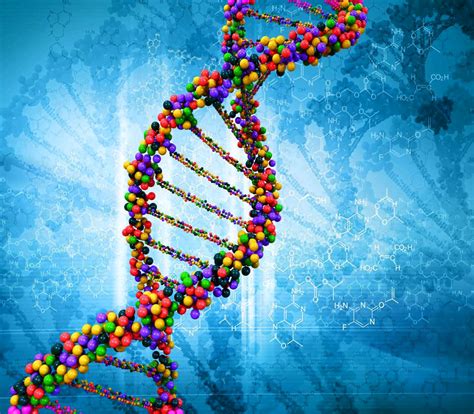 Il DNA cos è come si forma e quali sono le sue strutture different