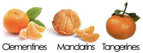 Mandarins Tangerines Clementines Satsumas Not To Mention Cuties