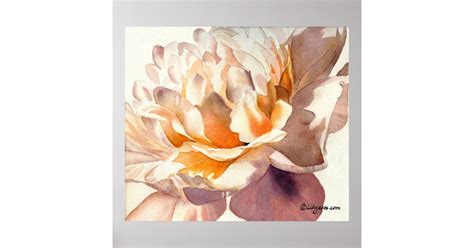 White Peony Watercolor Poster Print | Zazzle