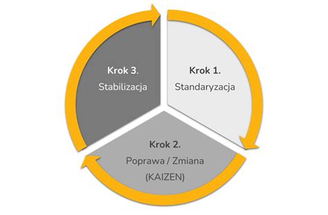 Standaryzacja Pracy Lean Excellence