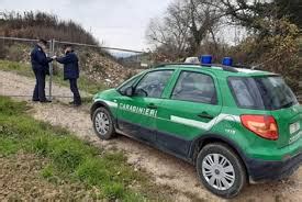 Carabinieri Forestali Sequestro Preventivo Di Oltre 8 Milioni Di Euro