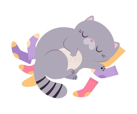 Cute Cat With Grey Coat Lying On Socks And Sleeping Vector Illustration