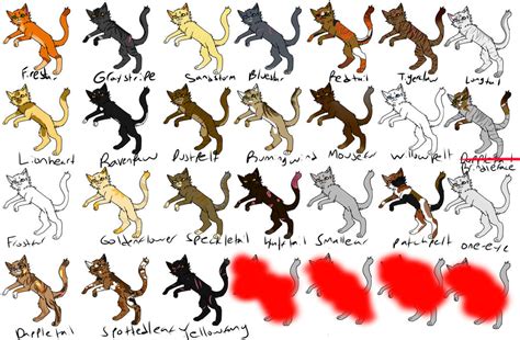 Warrior Reference Sheet -Thunderclan Into The Wild by Lardcat2000 on ...