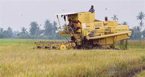 Kenaikan Subsidi Padi Beri Manfaat Kepada Pesawah Mykmu Net