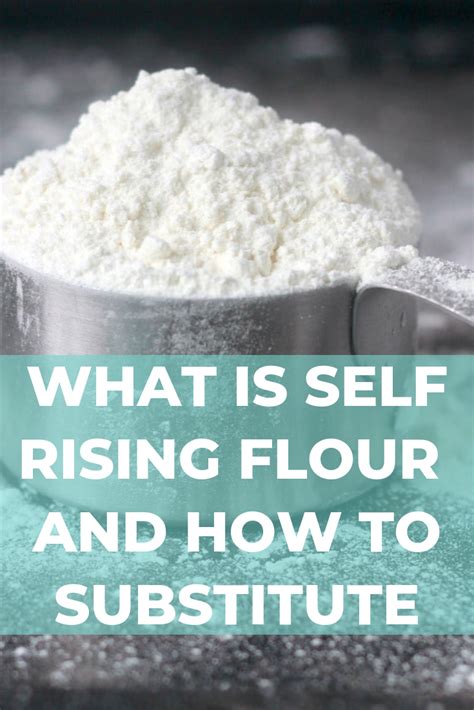 How Do You Make Self Raising Flour From Plain Reciplaza