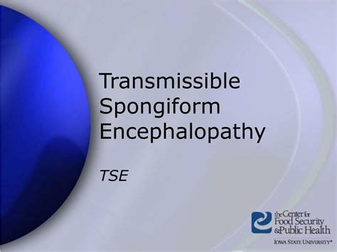 PPT Transmissible Spongiform Encephalopathy PowerPoint Presentation