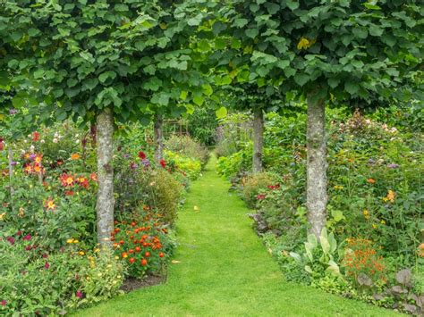 National Garden Scheme Open Garden Rymans Appledram Gotolocal Gotolocal